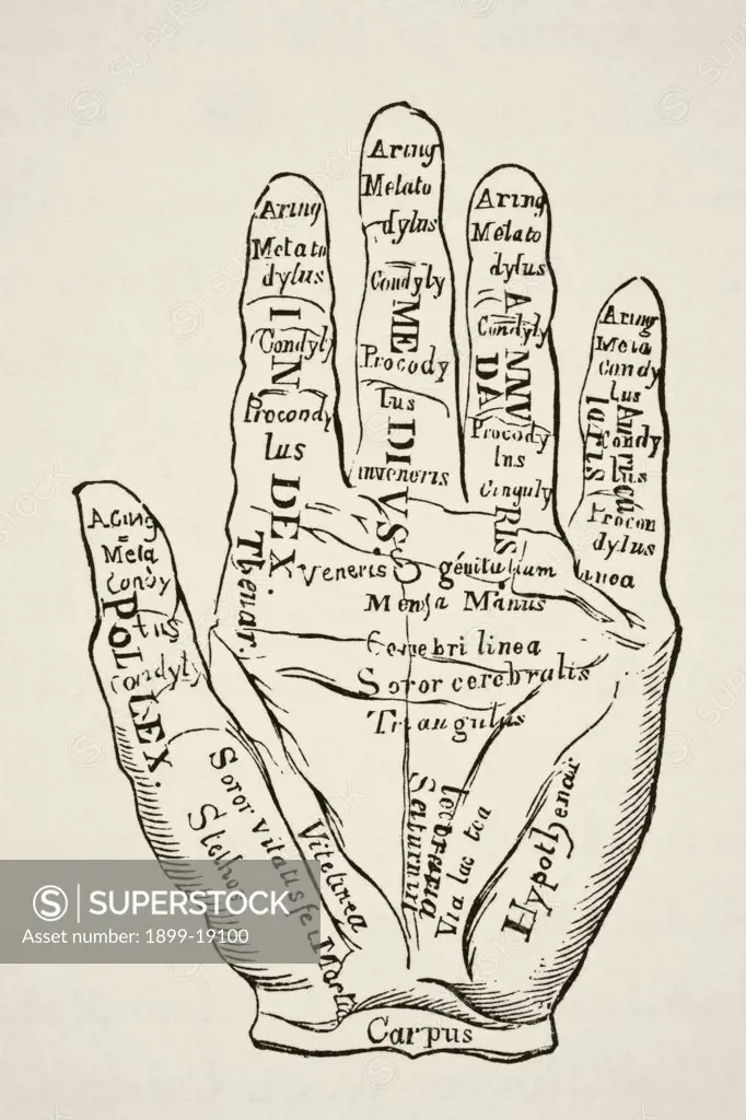 Specimen of the left hand with the lines and their horoscopic denominations. From Science and Literature in The Middle Ages by Paul Lacroix published London 1878