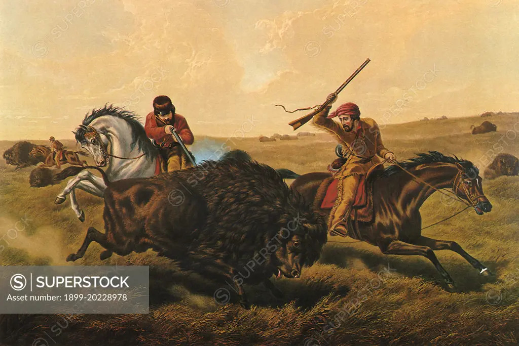 Life on the Prairie, The 'Buffalo Hunt'. 