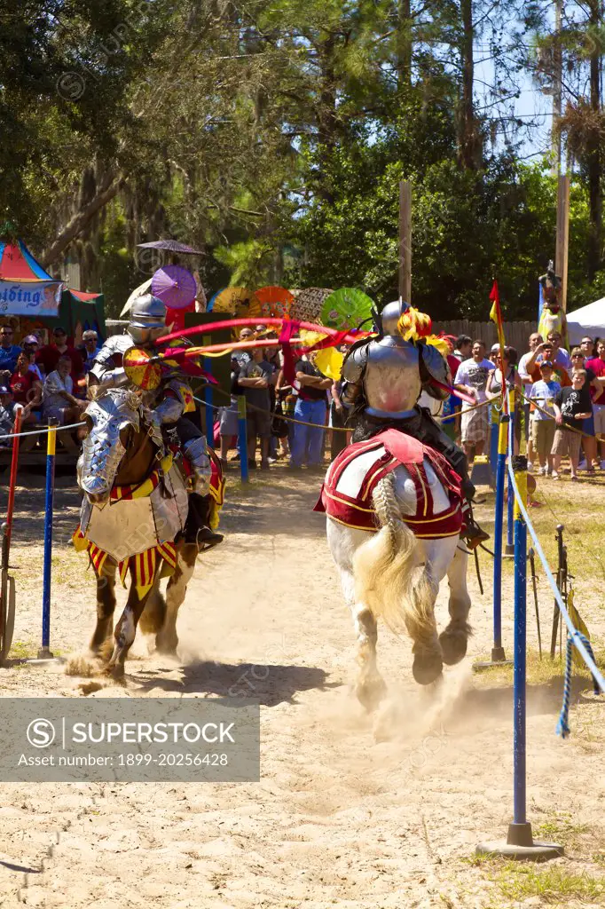 Crowd watching the armored joust at the MOSI Renaissance Festival, Tampa, Florida.