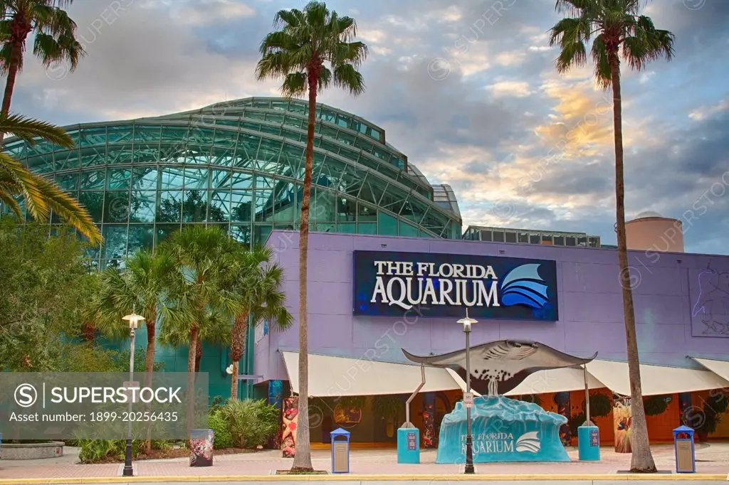 The Florida Aquarium is a 501(c)(3) not-for-profit organization whose mission is to entertain, educate and inspire stewardship about our natural environment. Downtown Tampa, Florida on Channelside.