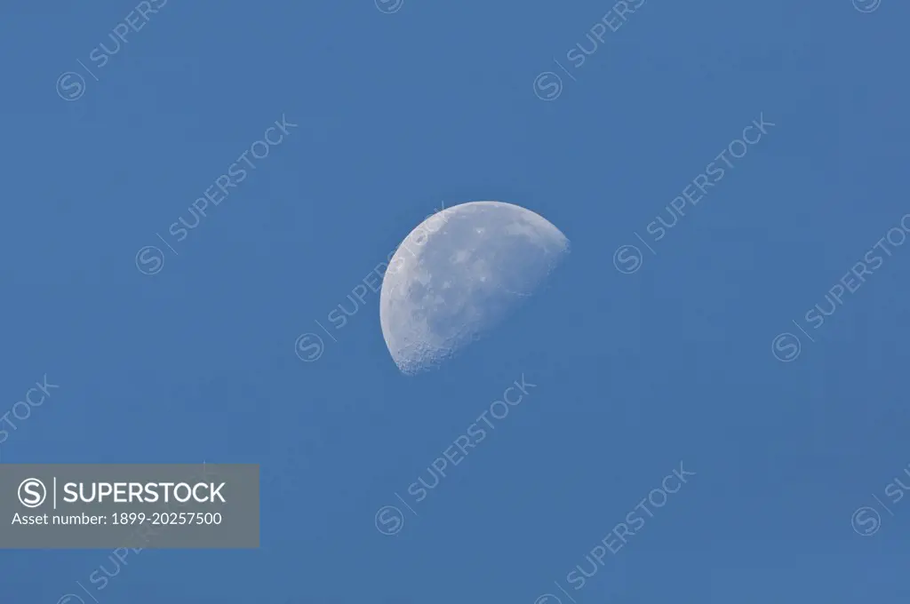 North America, USA, Texas, Big Bend National Park, Half Moon in Clear Blue Sky