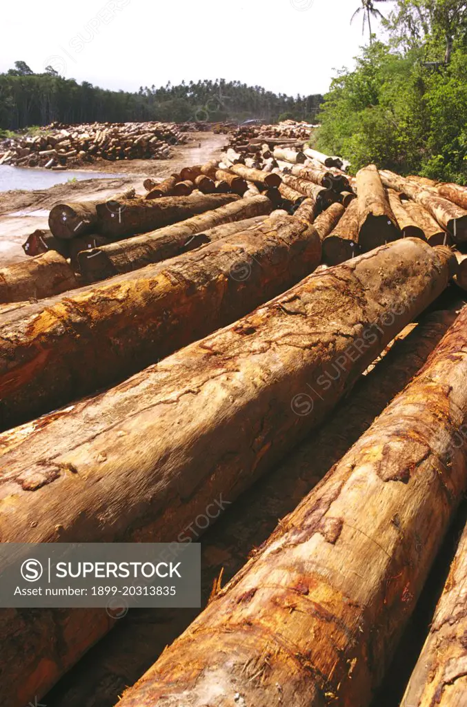 Put Put log yard,  East New Britain, Papua New Guinea