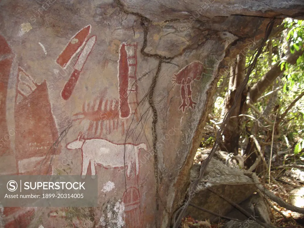 Aboriginal rock art. Bathurst Head, Queensland, Australia