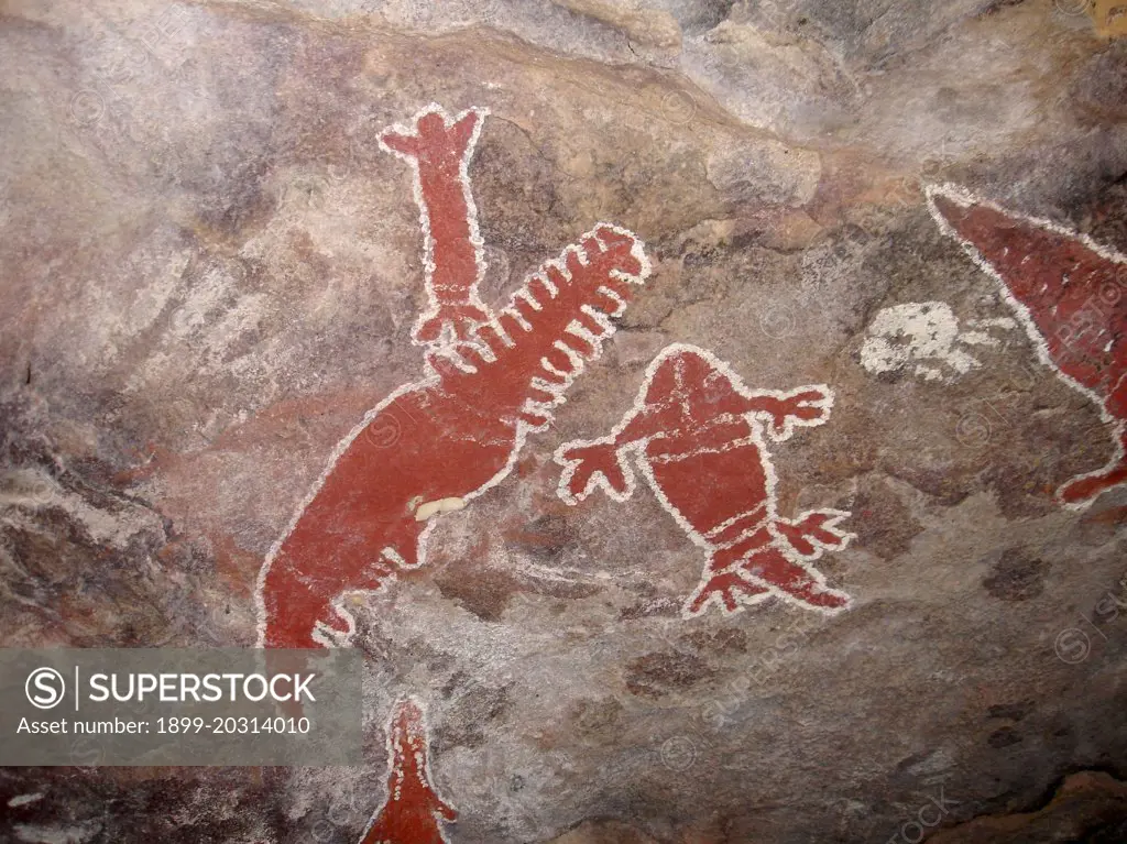 Aboriginal rock art depicting a sawfish and a crocodile. Bathurst Head, Queensland, Australia.        