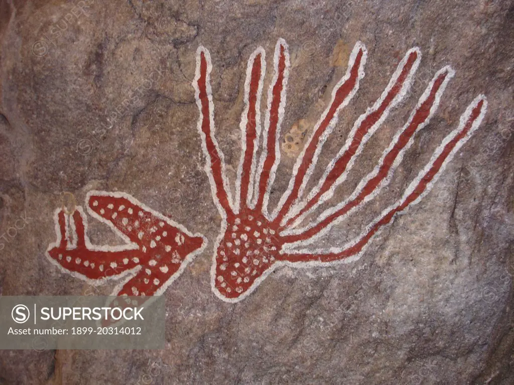 Aboriginal rock art depicting jellyfish and moth. Bathurst Head, Queensland, Australia.