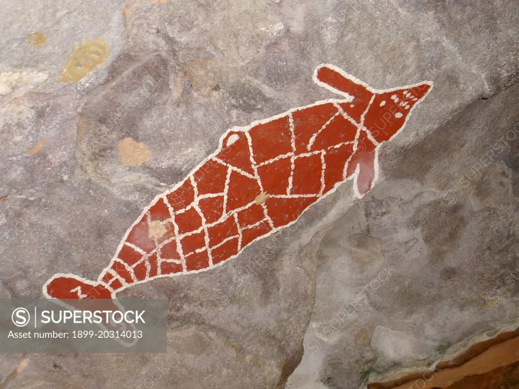 Aboriginal rock art depicting a dugong. Bathurst Head, Queensland, Australia.