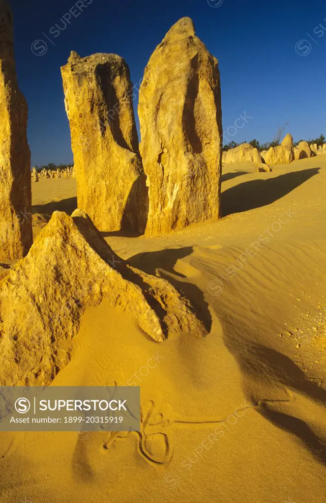 Pinnacles Desert Nambung National Park, Western Australia