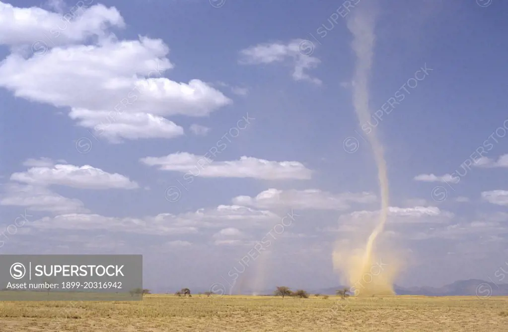Dust devils,  occurring in deserts when the near-surface air heats up more than air further from the ground: warm air rises, cool air sinks and any disturbance from a gust of wind, a vehicle or even a running animal, causes the hotter air to rush up spinning in the descending column of cooler air.  Great Rift Valley, Kenya