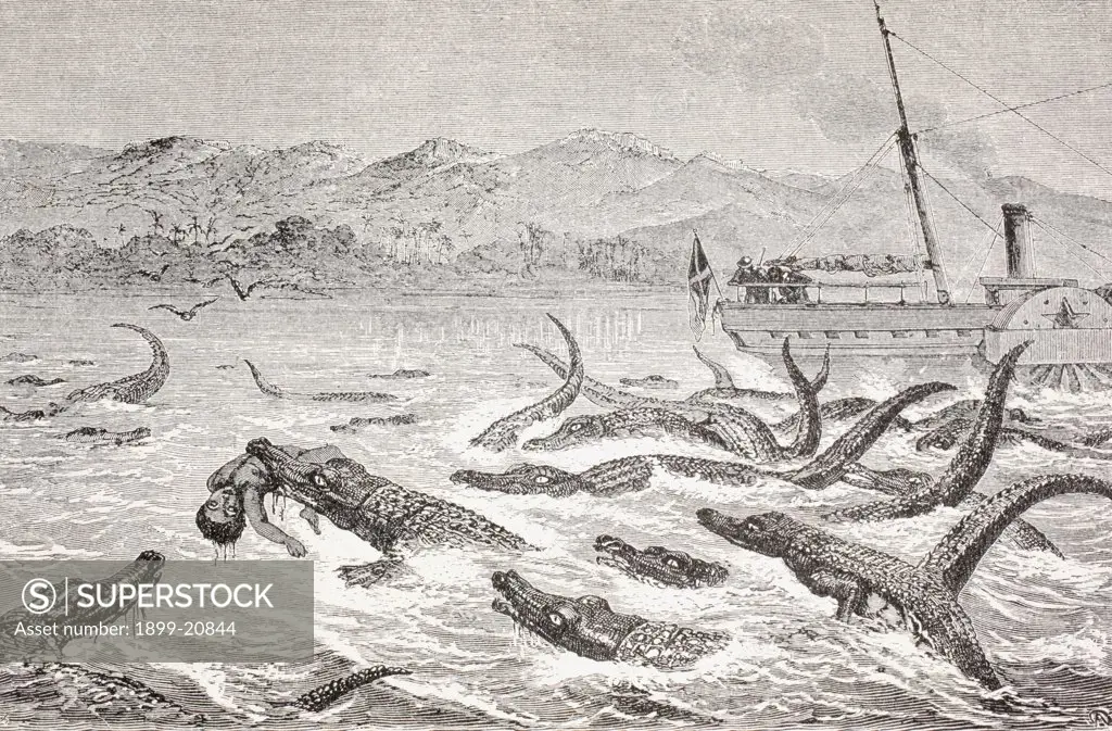 Crocodiles take a man in the Nile River in the late 19th century. From Afrika, dets Opdagelse, Erobring og Kolonisation, published in Copenhagen, 1901.
