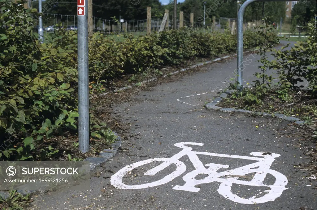 Cycle paths in Mile End Ecology Park, Lonhdon, United Kingdom. 