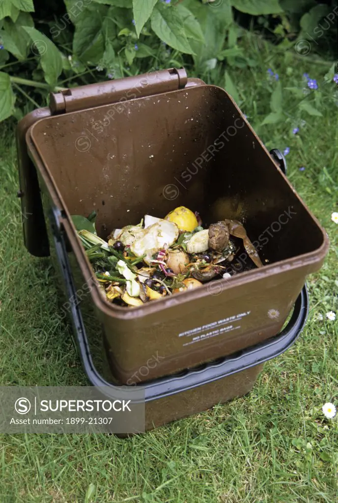 Compostable kitchen waste, United Kingdom. Compostable kitchen waste, kept in separate container for ease of recycling or putting on compost.