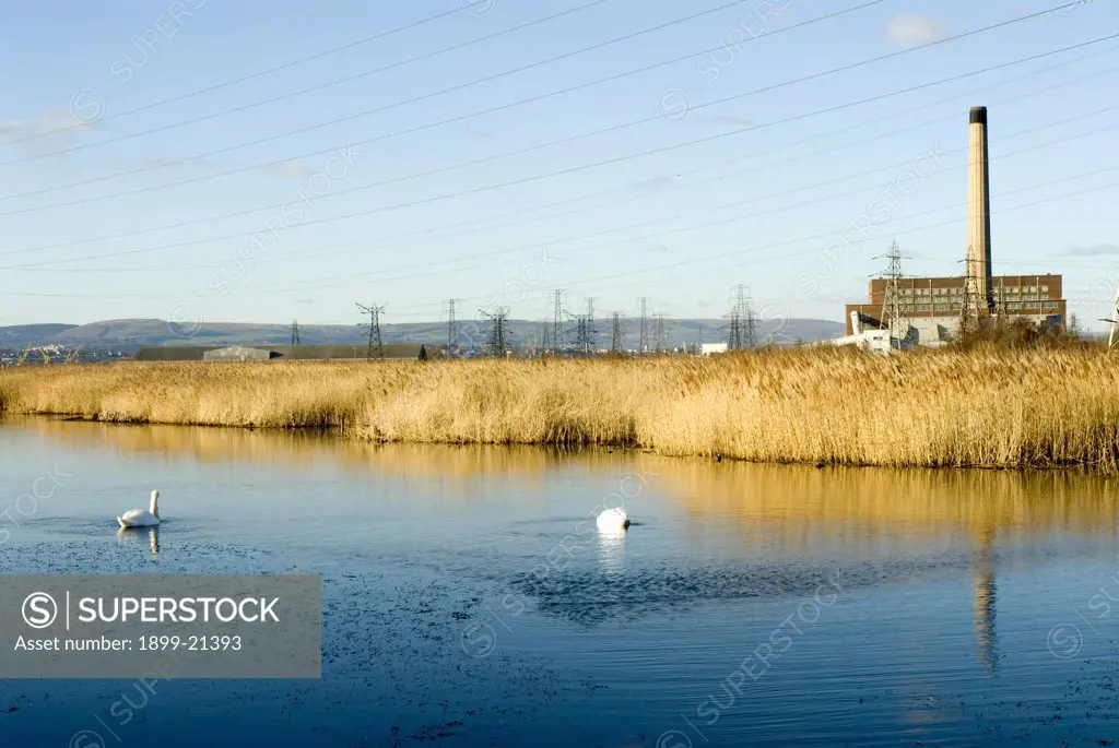 National Nature Reserve in Gwent, wetland habitat created from power station fuel ash lagoons. 