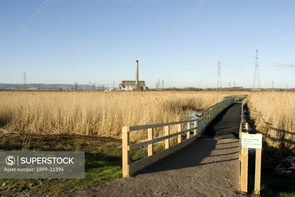 Wetlands with board walk in wetland habitat created from power station ash lagoons. 