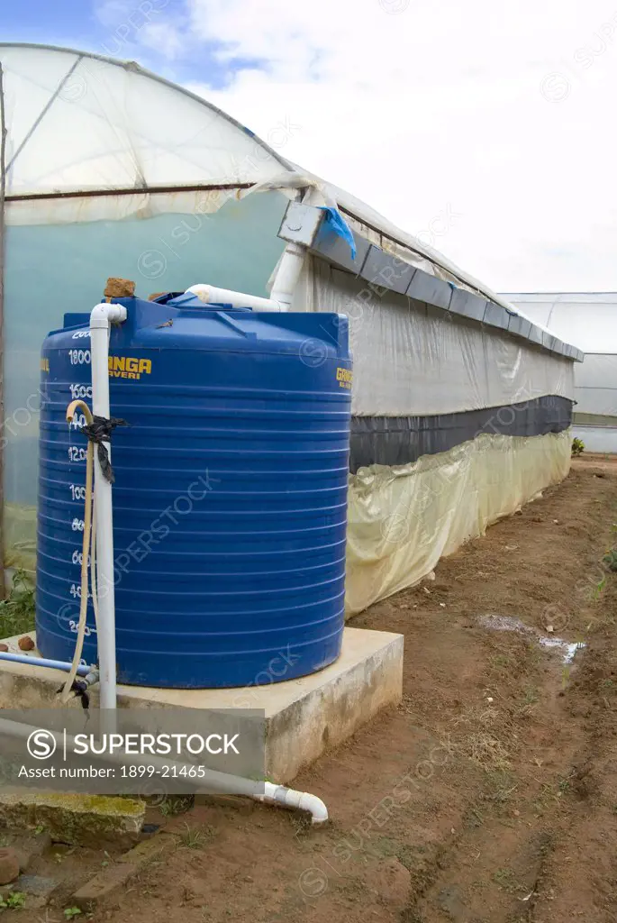 Rooftop rainwater harvesting system for water security in greenhouse - University of Agricultural Sciences, Vidyaranyapura, Bangalore, Karnataka, India. 
