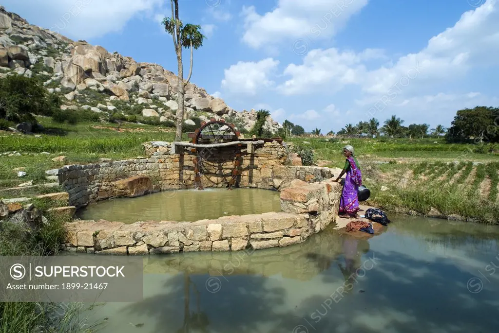 Persian waterwheel lifting water from rural well - washerwoman, irrigation, Hills near Kolar, Karnataka, India. 