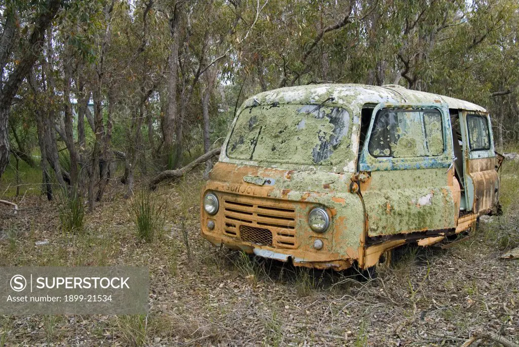 Defunct lichen-covered school bus wreck abandoned in farm bushland - Yarrabee, adjacent to Stirling Range National park, Western Australia. . 