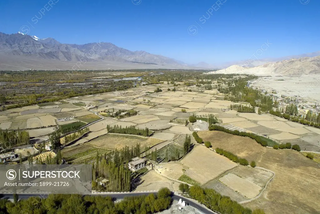 Aerial view of cultivation & settlement in fertile Indus river valley fringed by high altitude cold desert, showing harvested fields, willow & poplar plantations, a road, and Zanskar range on left. . Between Thiksey & Shey, Ladakh, Jammu&Kashmir, Himalayas, India.