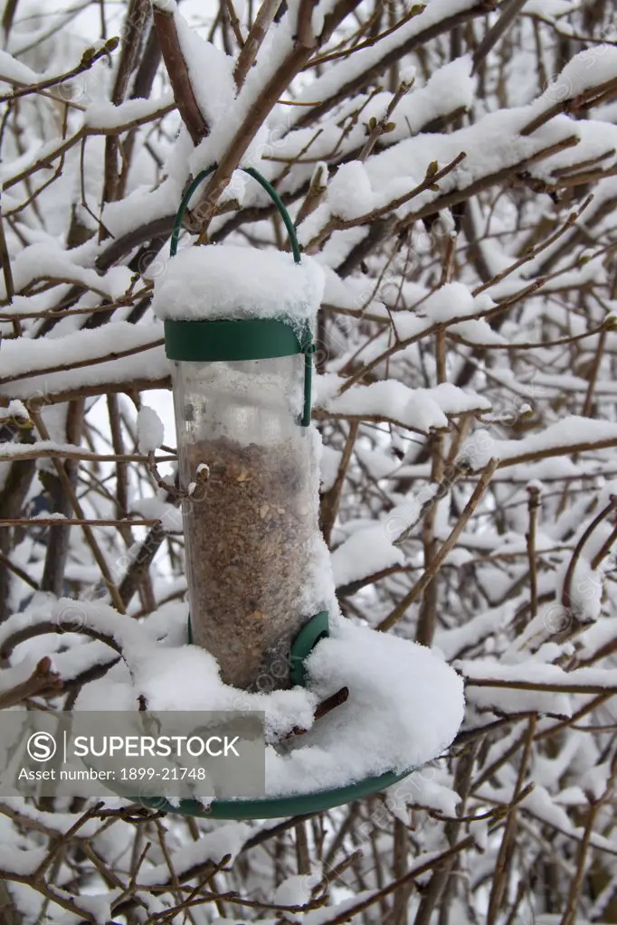Bird feeder covered in snow. Food and water sources for wild birds need to be kept free of snow and ice during the winter