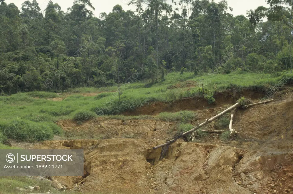 BRAZIL Minas Gerais Soil erosion caused by deforestation of the amazon rainforest. . 
