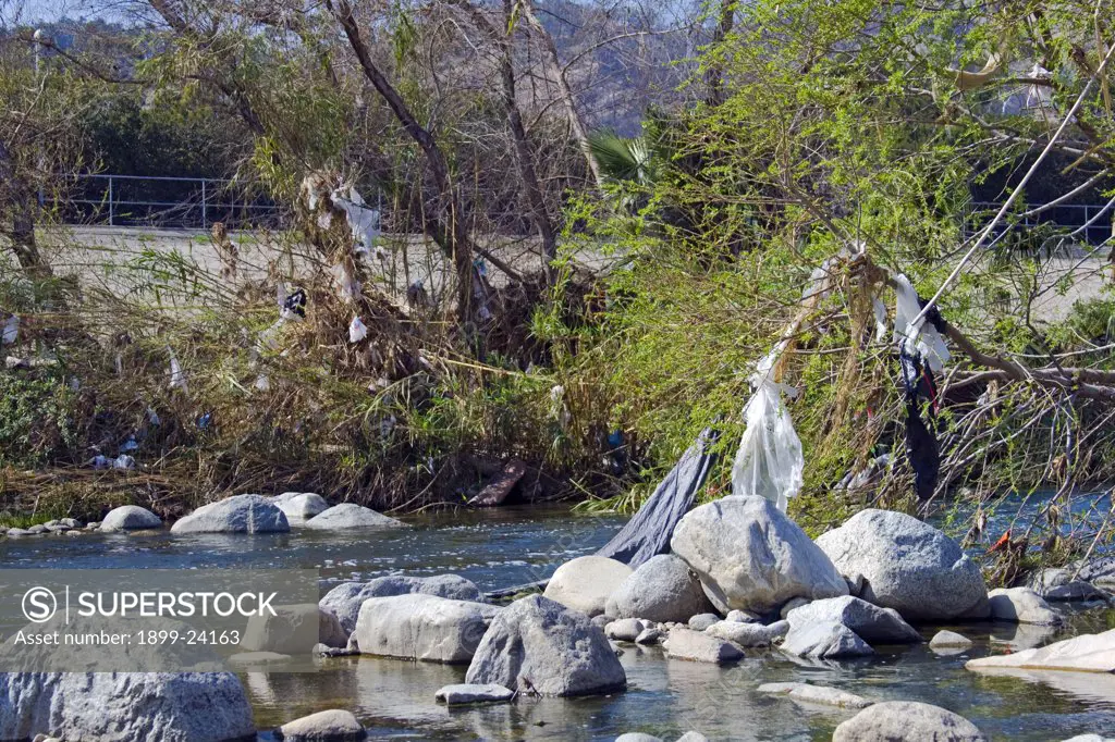 Pollution in the Los Angeles River, USA. Plastic Bags left from runoff from recent rains, Glendale Narrows, Stop on Folar's tour of the LA River, Los Angeles, California, USA. 