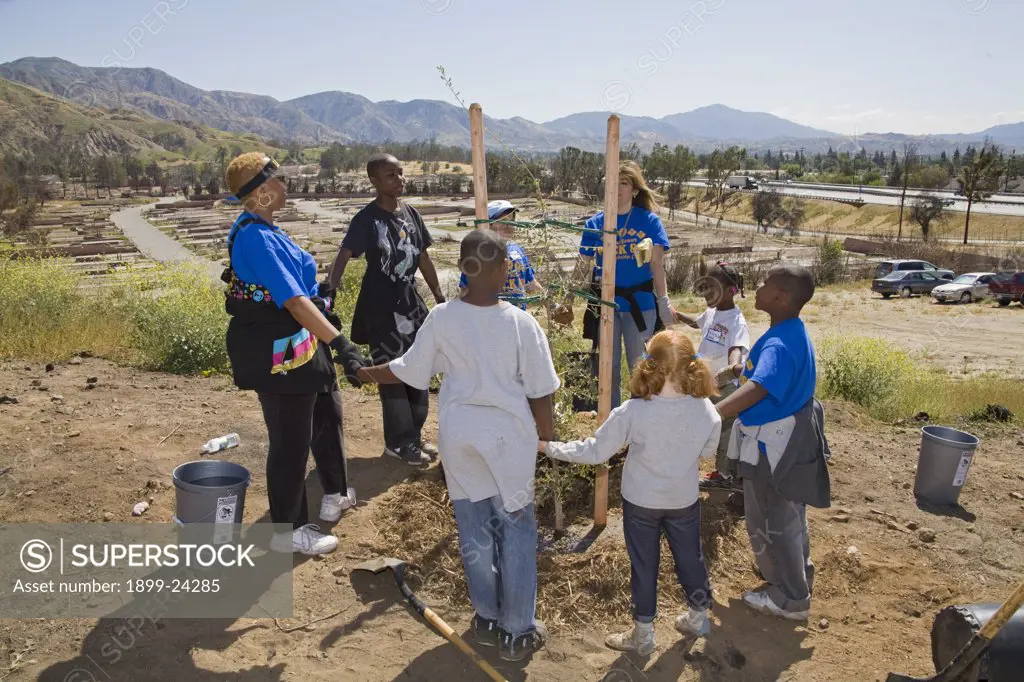 Volunteers at a Tree planting to reforest Stetson Ranch Park in Sylmar after the 2008 devastating wildfire. The remnants of the destroyed Oakridge Trailer Park are in the Background. 