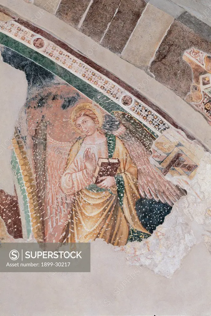 The Angel, by Unknown, 14th Century, fresco. Italy, Brescia, Manerba del Garda, localita Pieve Vecchia, Parish Church. Detail. Angel colored wings sacred text book cloak: mantle dress: garment decoration tondos rosettes white yellow green pink red.