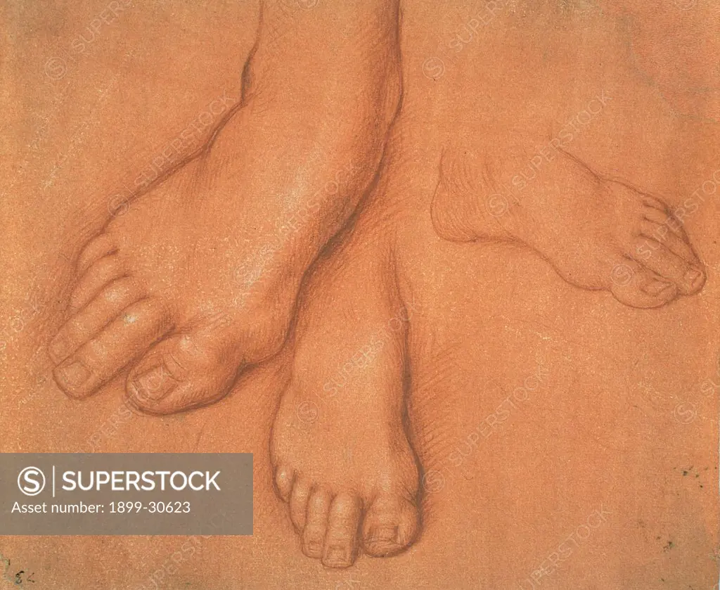 Study of Feet, by Cesare da Sesto, 15th Century, sanguine with white heightener, on treated red paper. Italy: Lombardy: Milan: Brera Art Gallery. Whole artwork. Detailed study, lifelike and convincing, of a foot repeated three times from three different angles