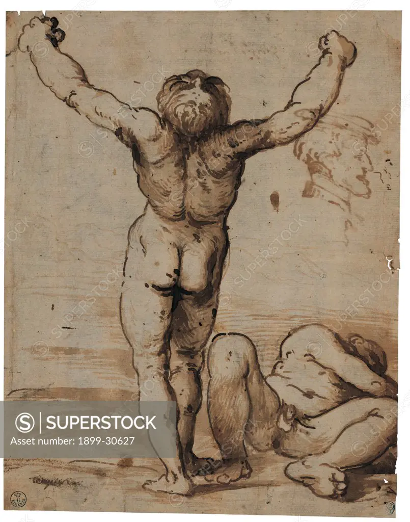 Two Male Nudes, by Romani Girolamo known as Romanino, 1510, 16th Century, pen and brown ink on yellowed paper. 