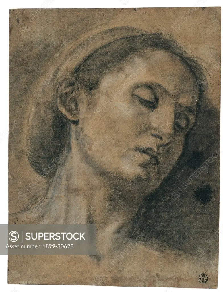 Head of a Woman with her Eeyes Closed, by Savoldo Giovanni Girolamo (Gerolamo), 16th Century, black chalk, heightened with white, on faded blue paper. Italy: Tuscany: Florence: Uffizi Gallery: Gabinetto Disegni e Stampe inv. 12806F. Whole artwork. Head of a woman with her eyes closed and hair gathered: the tendons of her tight and skinny neck are tense