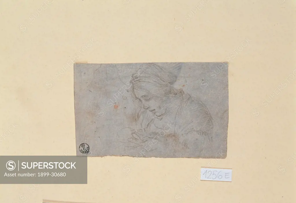Woman sewing, by Lippi Filippino, 15th Century, pencil on paper. Italy, Tuscany, Florence, Uffizi Gallery. Whole artwork. Face young woman gathered: tied hair hatching.