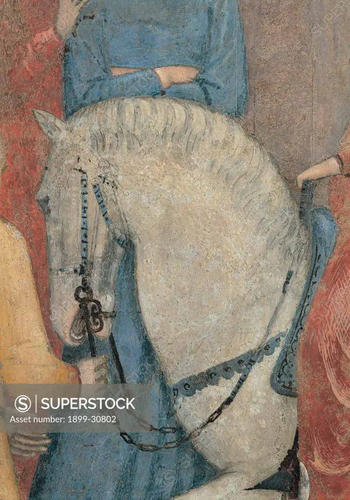 The Effects of Good Government in the City, by Lorenzetti Ambrogio, 1338 - 1339, 14th Century, fresco. Italy, Tuscany, Siena, Palazzo Pubblico. Detail. White horse protome muzzle: nose harness bit behind blue-dressed standing female figure.