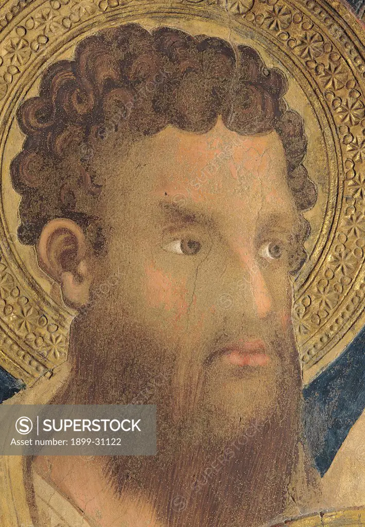 The Majesty, by Martini Simone, 1313 - 1315, 14th Century, fresco. Italy, Tuscany, Siena, Palazzo Pubblico, Sala del Mappamondo. Detail. Face of an apostle: prophet (Thaddeus) on the left side of the throne beard decorated halo: aureole blue gold brown.