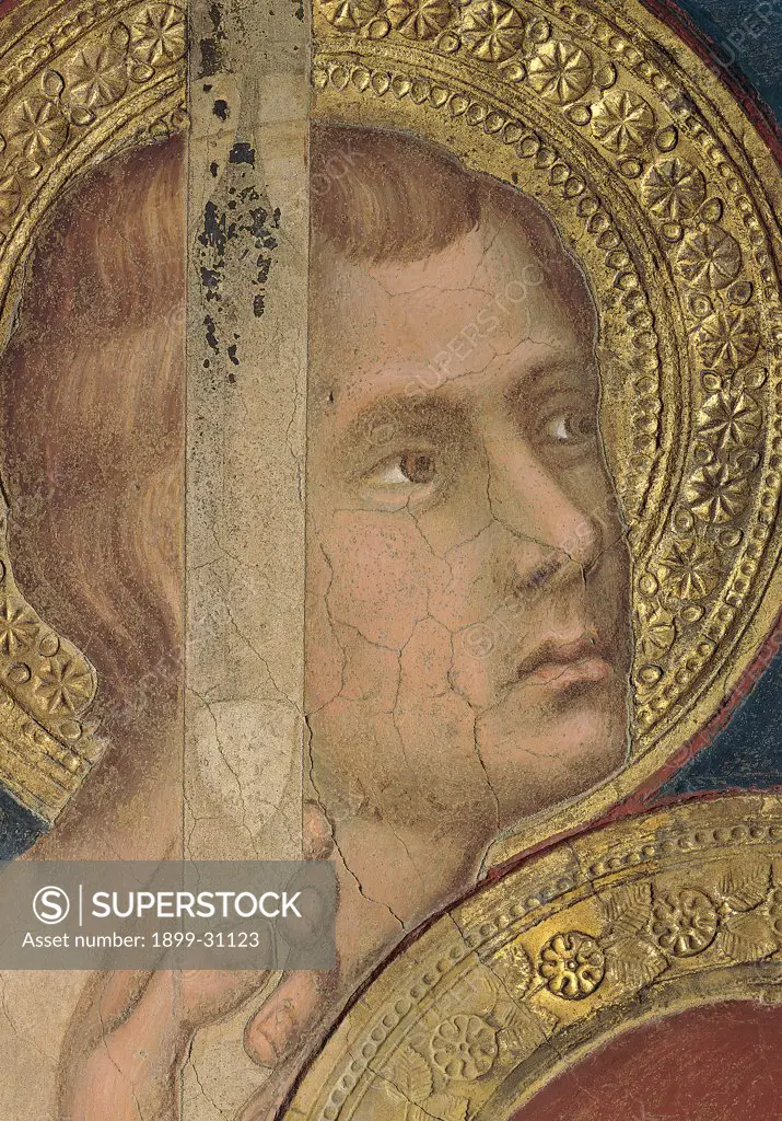 The Majesty, by Martini Simone, 1313 - 1315, 14th Century, fresco. Italy, Tuscany, Siena, Palazzo Pubblico, Sala del Mappamondo. Detail. Face of an angel on the left side of the throne floral decoration halo: aureole gold brown hues: shades.