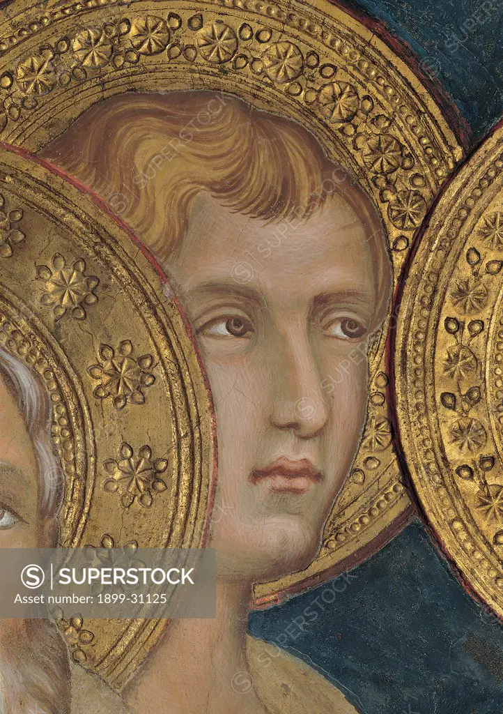 The Majesty, by Martini Simone, 1313 - 1315, 14th Century, fresco. Italy, Tuscany, Siena, Palazzo Pubblico, Sala del Mappamondo. Detail. Face of an apostle: prophet on the left side of the throne decoration halo: aureole stylized flower.
