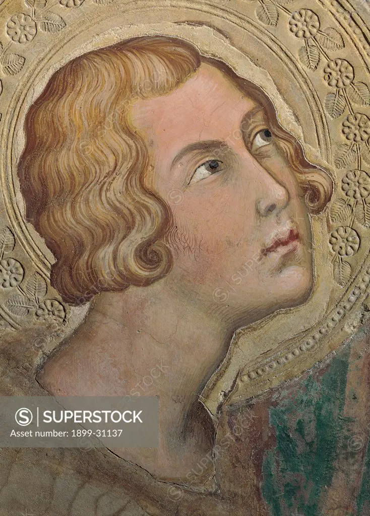 The Majesty, by Martini Simone, 1313 - 1315, 14th Century, fresco. Italy, Tuscany, Siena, Palazzo Pubblico, Sala del Mappamondo. Detail. Face of St Ansanus (on the left side of the throne) halo: aureole decoration flowers leaves gold brown hues: shades pink.