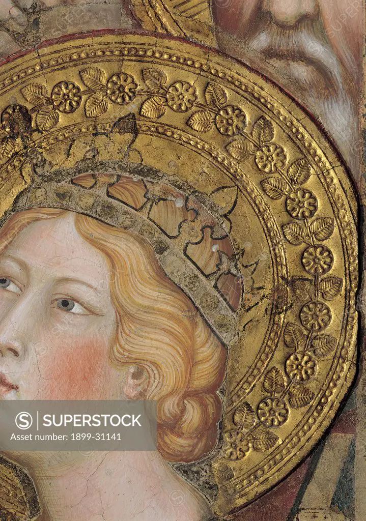 The Majesty, by Martini Simone, 1313 - 1315, 14th Century, fresco. Italy, Tuscany, Siena, Palazzo Pubblico, Sala del Mappamondo. Detail. Face of St Catherine of Alexandria (partially cut) (on the right side of the throne) crown halo: aureole hairstyle gathered hair decoration flowers leaves yellow gold pink red brown hues: shades.