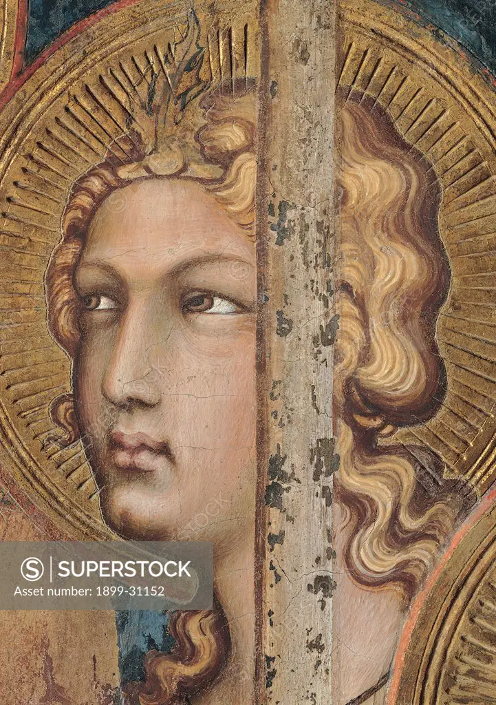 The Majesty, by Martini Simone, 1313 - 1315, 14th Century, fresco. Italy, Tuscany, Siena, Palazzo Pubblico, Sala del Mappamondo. Detail. Face of an angel (on the right side of the throne) halo: aureole rays hairstyle hairband jewel crown gold leaf pink brown hues: shades blue.
