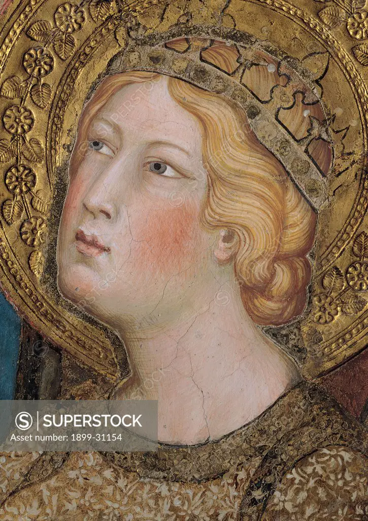 The Majesty, by Martini Simone, 1313 - 1315, 14th Century, fresco. Italy, Tuscany, Siena, Palazzo Pubblico, Sala del Mappamondo. Detail. Face of St Catherine of Alexandria (on the right side of the throne) halo: aureole crown flowers leaves decoration hairstyle red pink carnation gold brown blond brown hues: shades.