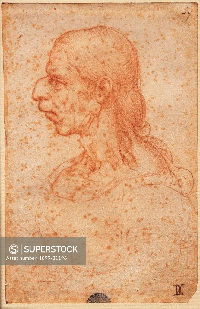 Caricature of an old woman, by imitator Leonardo da Vinci, 16th Century, sanguine. Italy: Veneto: Venice: Accademia Art Galleries: inv. 267. Whole artwork. Deformed face, caricature