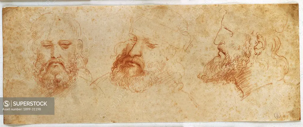 Profile, three-quarter and frontal study of a male head, possibly a portrait of Cesare Borgia, by Leonardo da Vinci, 1502, 16th Century, sanguine on yellowed white paper. Italy: Piemonte: Turin: Royal Library: Dis. Ital. 1/26. Whole artwork. Face of a bearded man