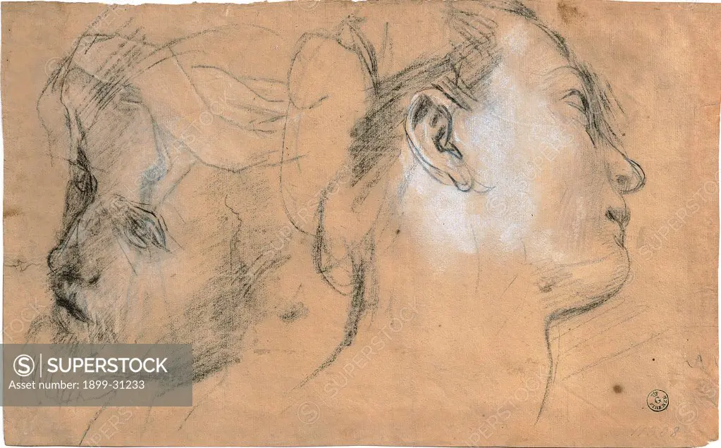 Two studies of heads, by Fiori Federico known as Barocci (Baroccio), 16th Century, black pencil, white chalk on paper. Italy, Tuscany, Florence, Uffizi Gallery, Drawings and Prints Cabinet. Whole artwork. Studies head white black.