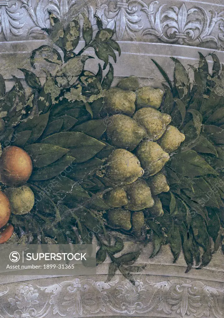 Decoration of the Camera degli Sposi (Camera Picta), by Mantegna Andrea, 1465 - 1474, 15th Century, fresco and ""dry"" tempera. Italy, Lombardy, Mantua, Ducal Palace. Detail. Garland, leaves, fruits, lemons, decoration festoon lemons.