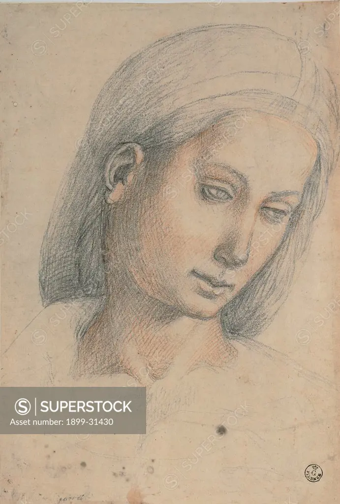Female Head, by Signorelli Luca, 1505, 16th Century, black and red pencil on white paper. Italy, Tuscany, Florence, Uffizi Gallery, Drawings and Prints Cabinet. Whole artwork. Face of a woman female figure face bent to the left eyes turned downwards head band.