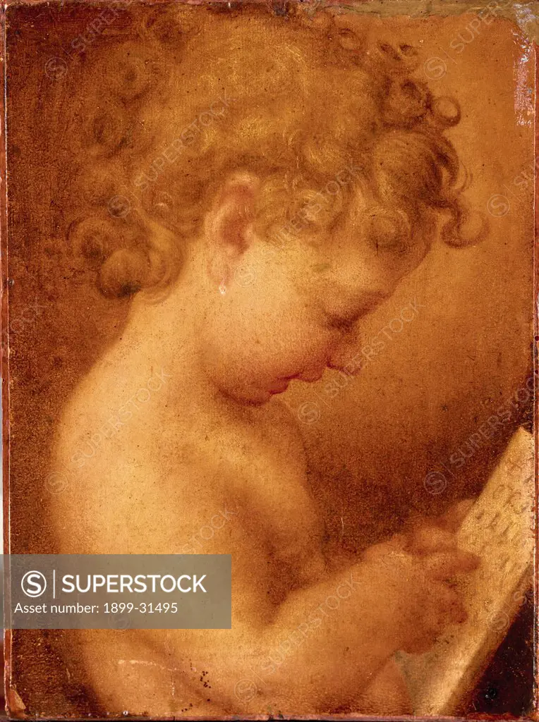 Little Putto Praying or Young Boy Reading, by copy from Allegri Antonio detto Correggio, 16th Century, Unknow. Italy, Campania, Naples, Capodimonte National Museum and Galleries. Whole artwork. Curled hair bust child holding a written paper.