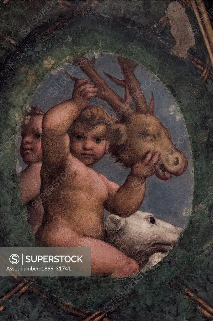 Frescoes in the Camera della Badessa at the Convent of St Paolo in Parma, by Allegri Antonio known as Correggio, 1519, 16th Century, fresco. Italy, Emilia Romagna, Parma, Monastery of San Paolo, Camera della Badessa. Detail. Ovate putti naked: nude children hunting trophy deer's head dog.