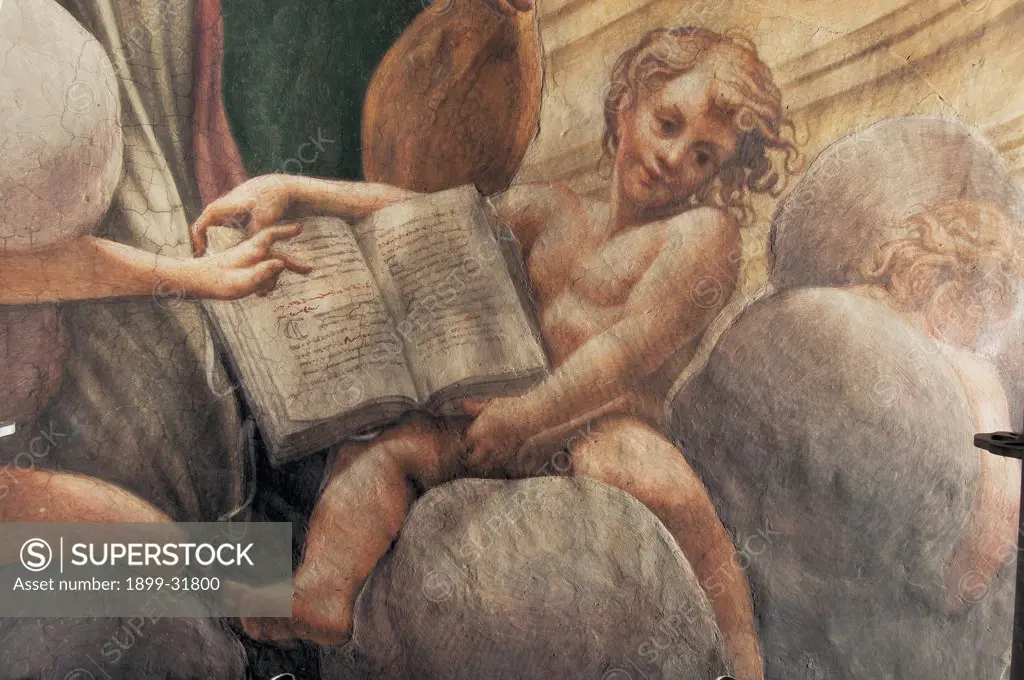 Assumption of the Virgin, by Allegri Antonio known as Correggio, 1526 - 1530, 16th Century, fresco. Italy, Emilia Romagna, Parma, Santa Maria Assunta Cathedral, Dome. Detail. Ephebe naked: nude young boy book.