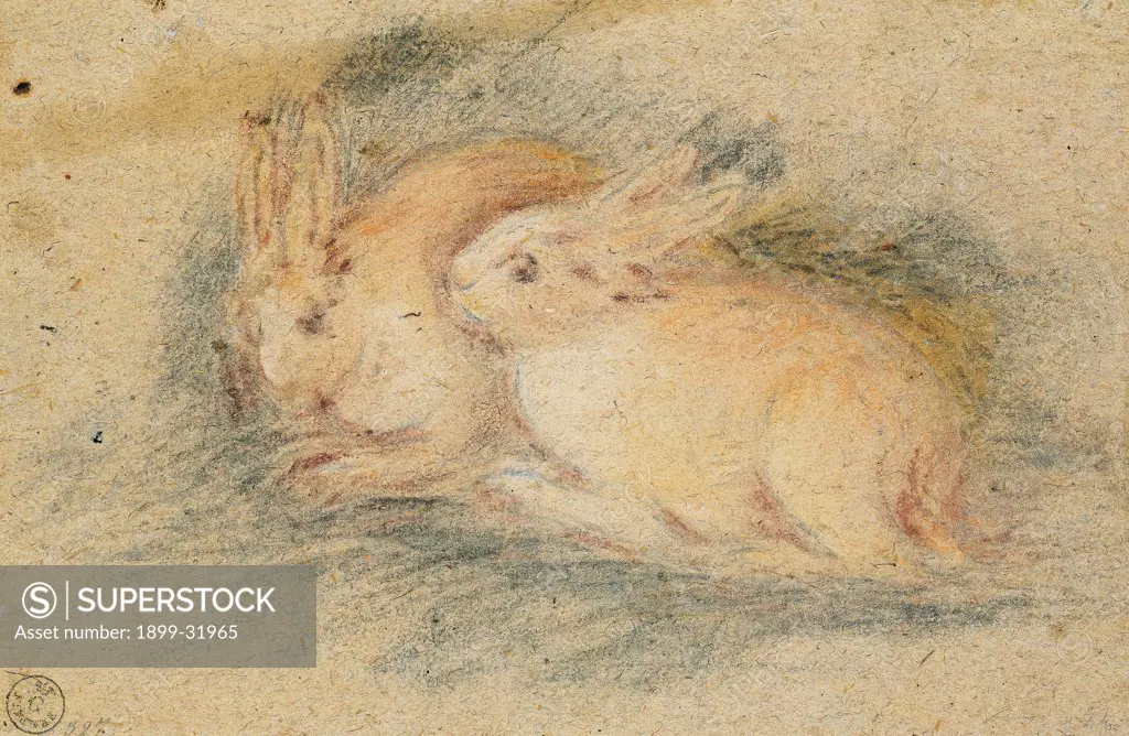 Two Rabbits, by Da Ponte Jacopo know as Bassano, 1570 - 1575, 16th Century, gessetto nero, gessetti colorati marrone, viola, rosa, ocra co. Italy, Tuscany, Florence, Uffizi Gallery, Drawings and Prints Cabinet. Whole artwork. Rabbits drawing brown violet pink ocher.