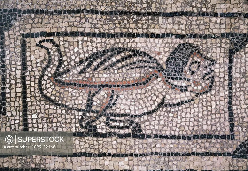 Monster turtle symbol of idleness, by Unknown, 11th - 12th Century, mosaic. Italy, Lombardy, San Benedetto Po, Mantua, Polirone Abbey. Detail. Tortoise zoomorphic figure monster symbol idleness allegory personification.