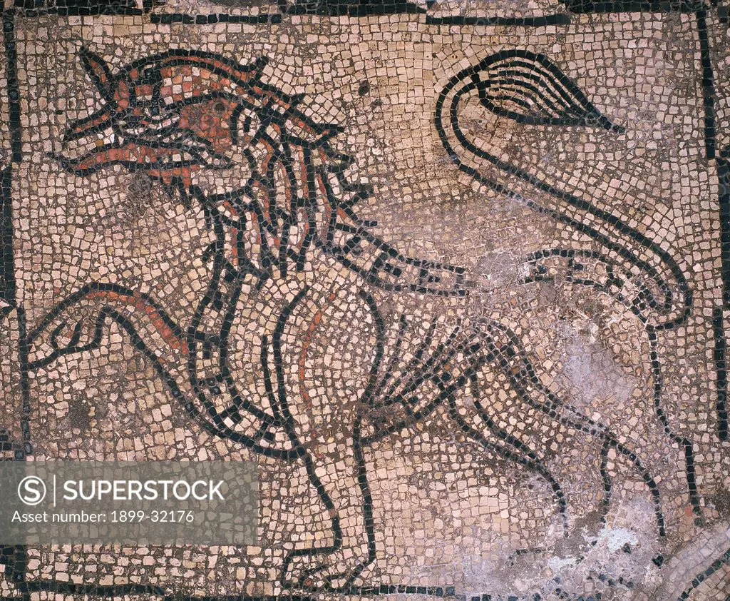 Lion, by Unknown, 11th - 12th Century, mosaic. Italy, Lombardy, San Benedetto Po, Mantua, Polirone Abbey. Detail. Mosaic decoration lion animal.