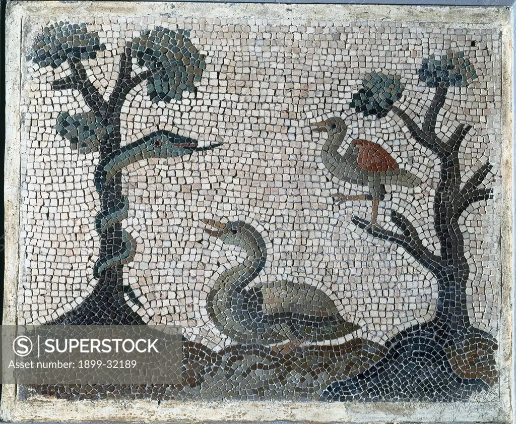 Emblemata with water-fowls, by Unknown, 18th Century, polychrome mosaic. Italy, Lazio, Rome, National Museum of Rome. All mosaic landscape birds duck snake tree.
